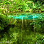 北海道「神の子池」の神秘な青と、鮭がジャンプする「さくらの滝」