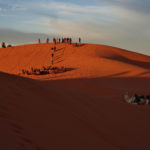 サハラ砂丘。そのオレンジに輝く曲線が美しい｜モロッコ旅_06
